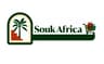 Souk Africa
